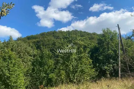 15.7 hectare plot in Kolasin, Padež