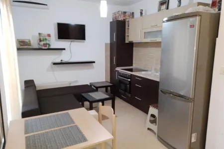 1-Zimmer-Wohnung in zentraler Lage von Budva, Rozino