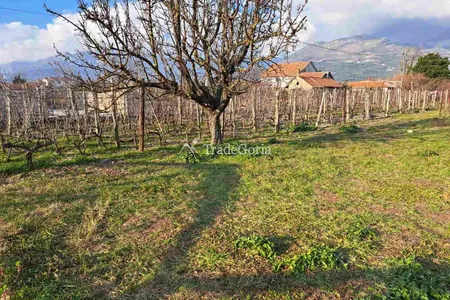 Large flat land plot in Field, Barska Riviera