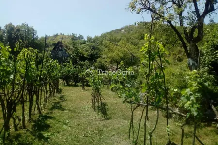 Large Land Plot near Cetinje