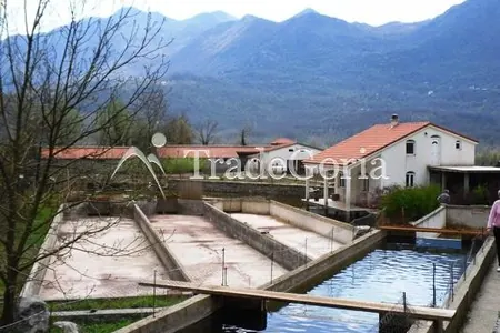 Fish Farm & Real Estate