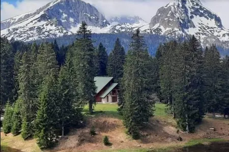 For sale land in the north of Montenegro, Zabljak area.