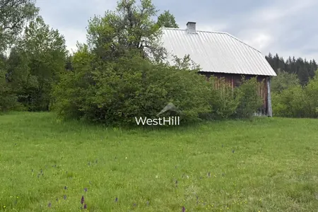 House & 45,500 m² Plot in Borova, Pljevlja, Montenegro