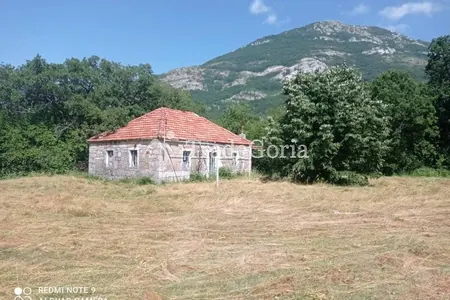 Stone house for reconstruction with a large plot in Risan, Ledenice