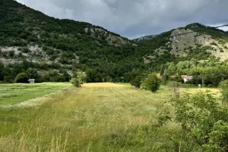 Land for sale in Grakhovo