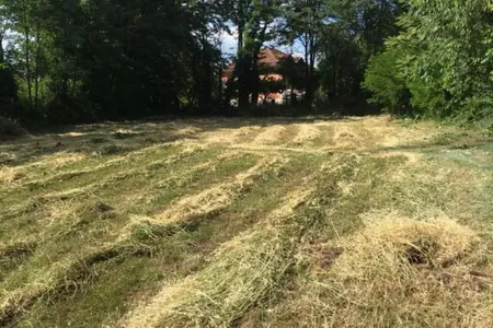 Land for sale in Mojanovići, Podgorica.