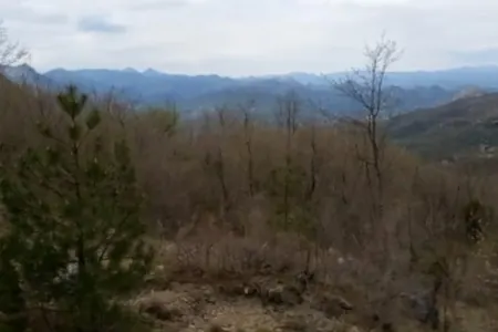 Land for sale in Sutorman.