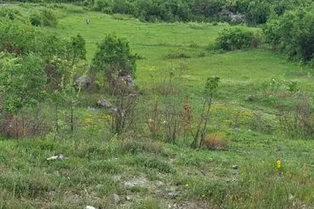 Land for sale near Podgorica