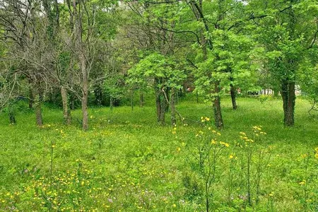 Land plot of 749 m2 Bulyaritsa