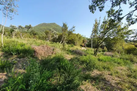 Land plots for sale in Beliši, 4 km from the center of Bar