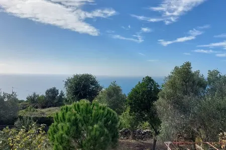 Plot in Zagora