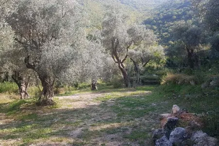 Plot of 3413 m2 Bartula, Bar