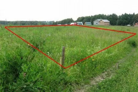 Plot of 6000m2 near Danilovgrad