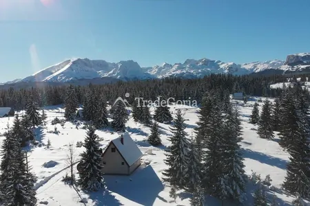 Haus zum Verkauf in Zhabljak