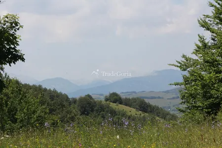 Land for Sale in Beautiful Location - Montenegro, Zabljak, Durmitor