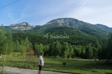 Spacious land plot in the village of Gornja Brezna, Pluzhine