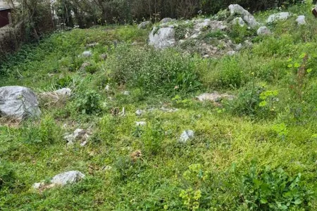 The land plot. Urbanized. Budva