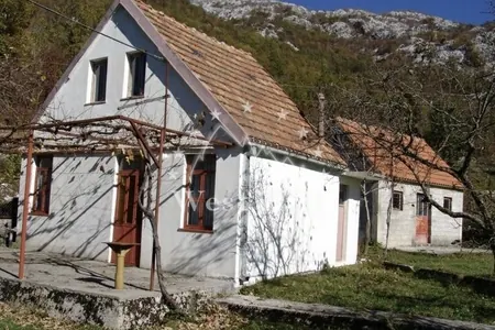 Two houses on a spacious plot