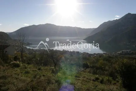 Land for sale in Risan