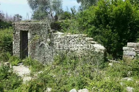 Plot in Shushan-Ilino