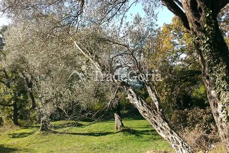 Grundstück in Tivat, Mrcevac Bezirk