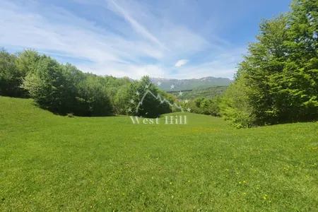Urbanized plot near the center
