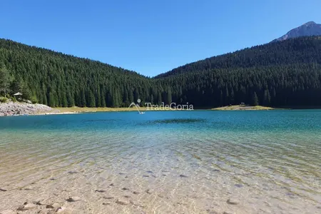 Grundstück im Žabljak-Bezirk Virak, Pasina Voda