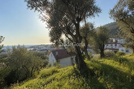 Sea-view land with centuries-old olive trees in Stari Bar