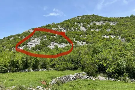 Land plot in a national park