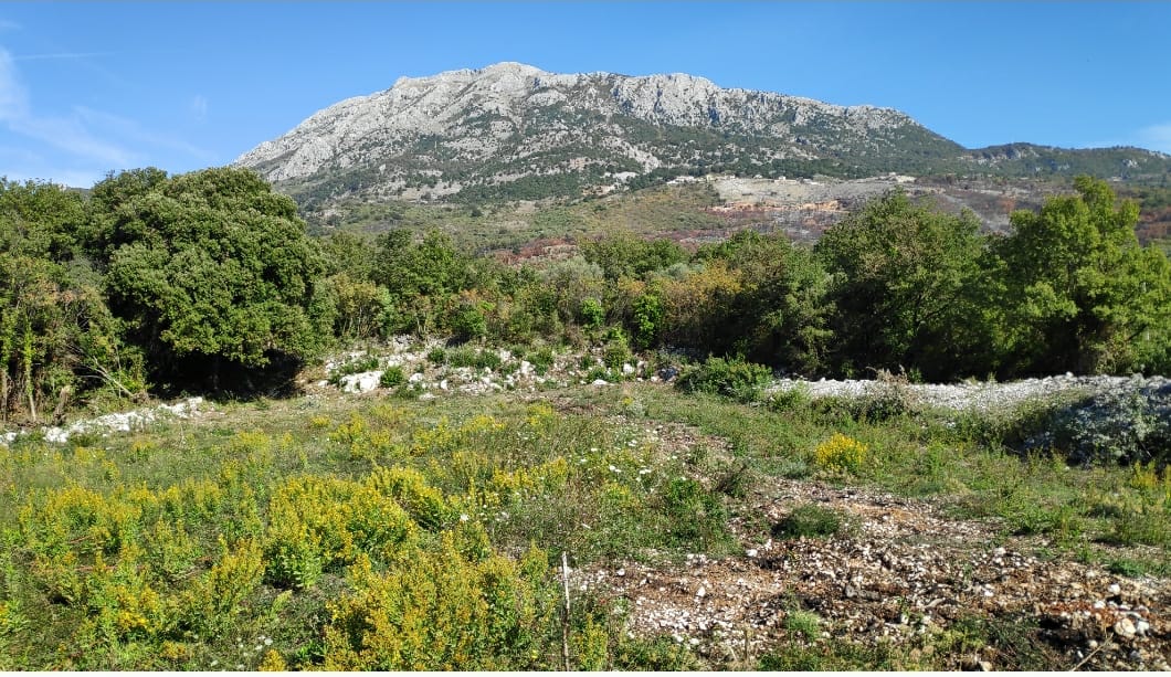 Urbanized land for sale in Dobra Voda (Bar)