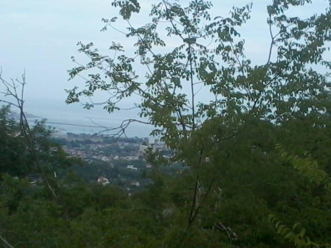 Land for sale in Zupci, Bar.