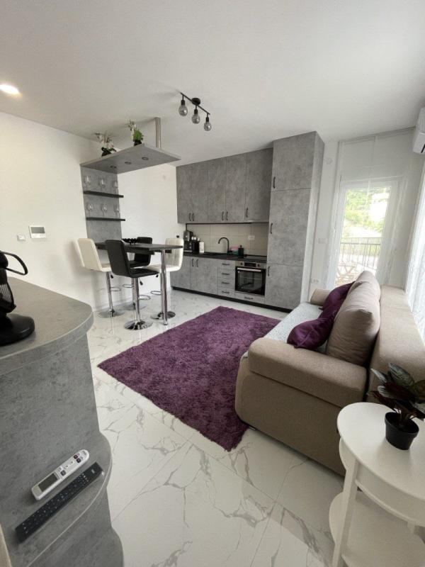 Modern One-Bedroom Apartment with Sea View in Đenovići
