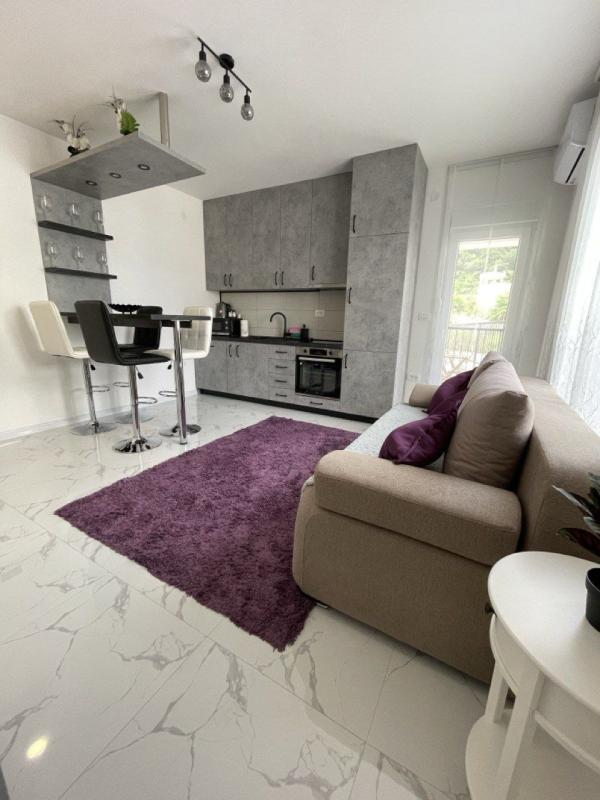 Modern One-Bedroom Apartment with Sea View in Đenovići