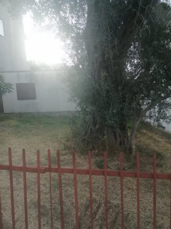 2 bedroom apartment for sale in Sutomore with garden share