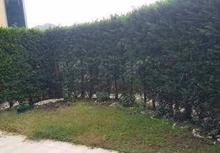 3-bedroom townhouse in Lastva for a year