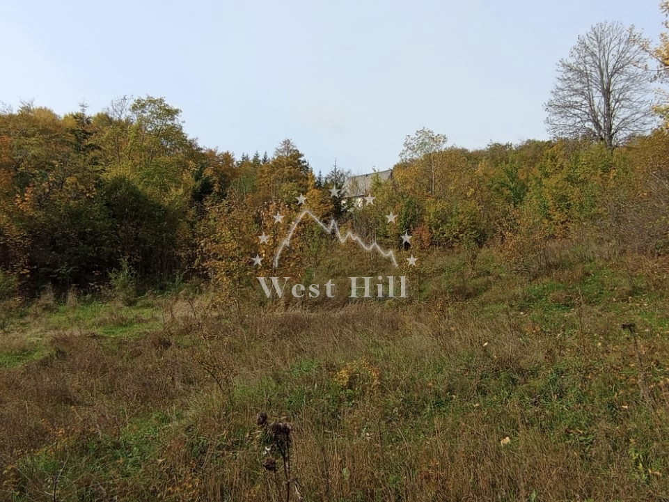 Spacious plot for farm