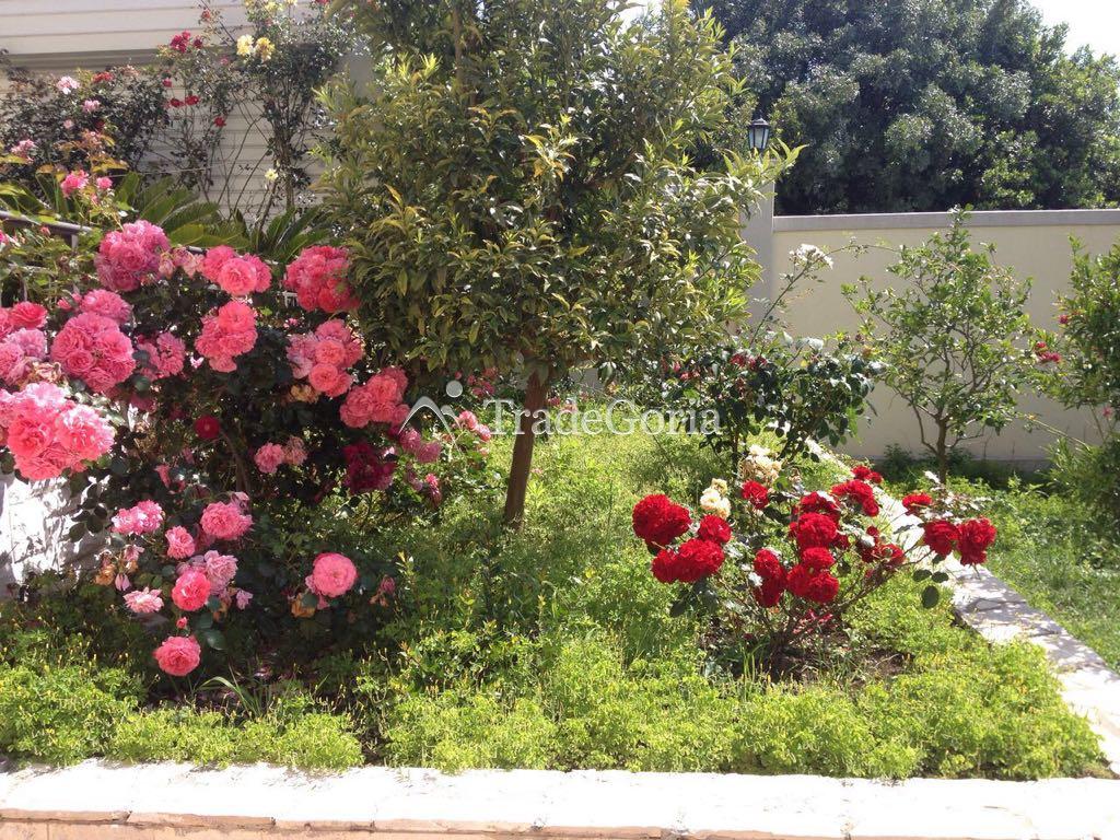 Beautiful villa in the resort village of Uteha, just 300 m from one of the cleanest coves, on the c