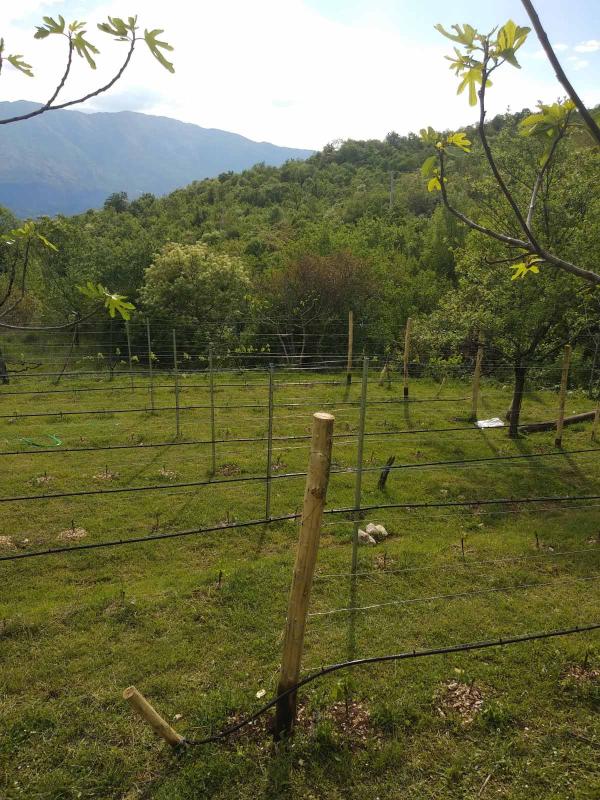 Haus mit riesigem Grundstück im Dorf Danilovgrad