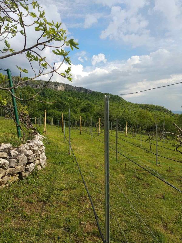 Haus mit riesigem Grundstück im Dorf Danilovgrad