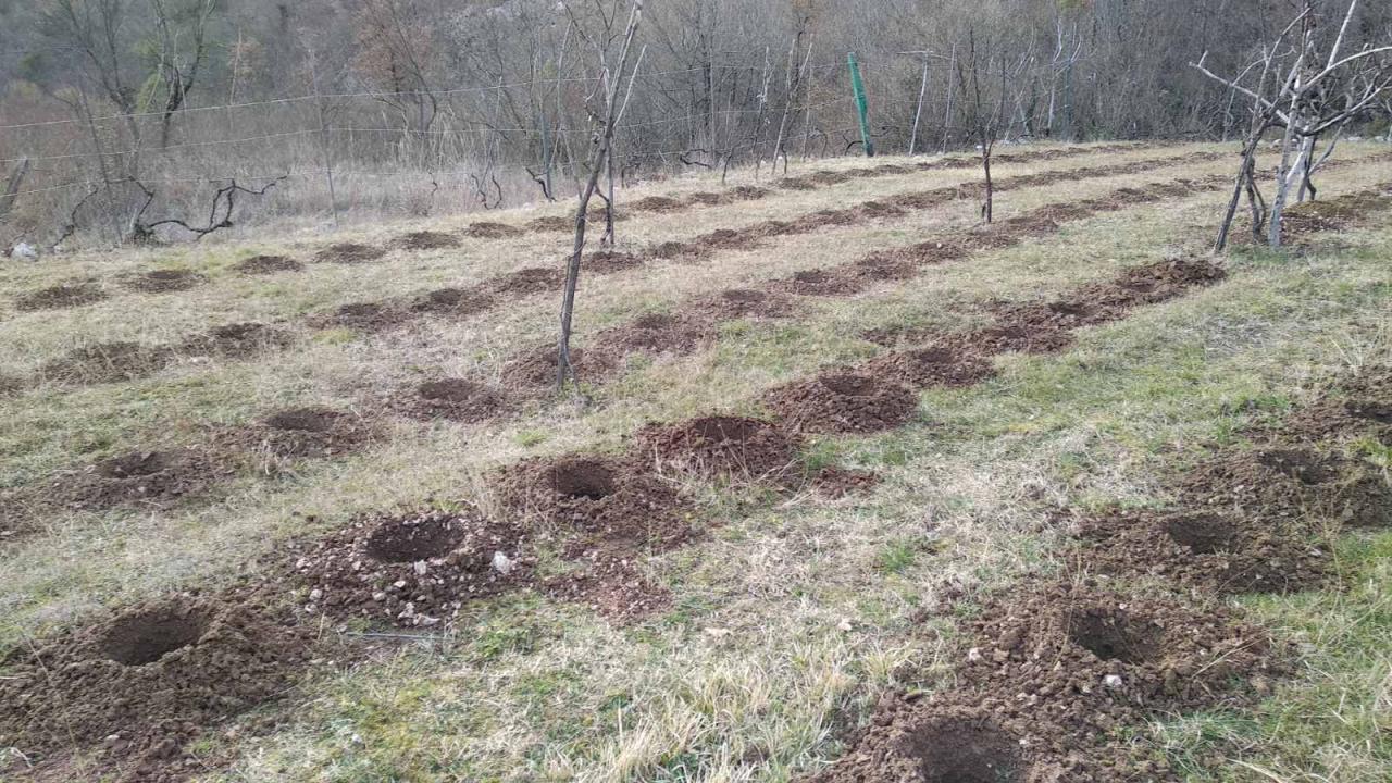 Haus mit riesigem Grundstück im Dorf Danilovgrad