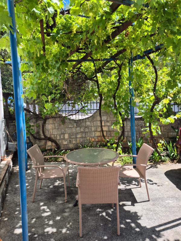 A house with a plot. Petrovac.