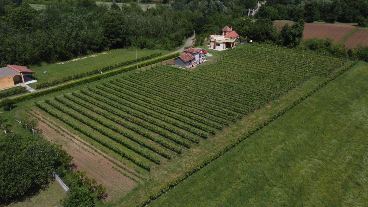 A vineyard with a winery in the valley of the Zeta River is for sale