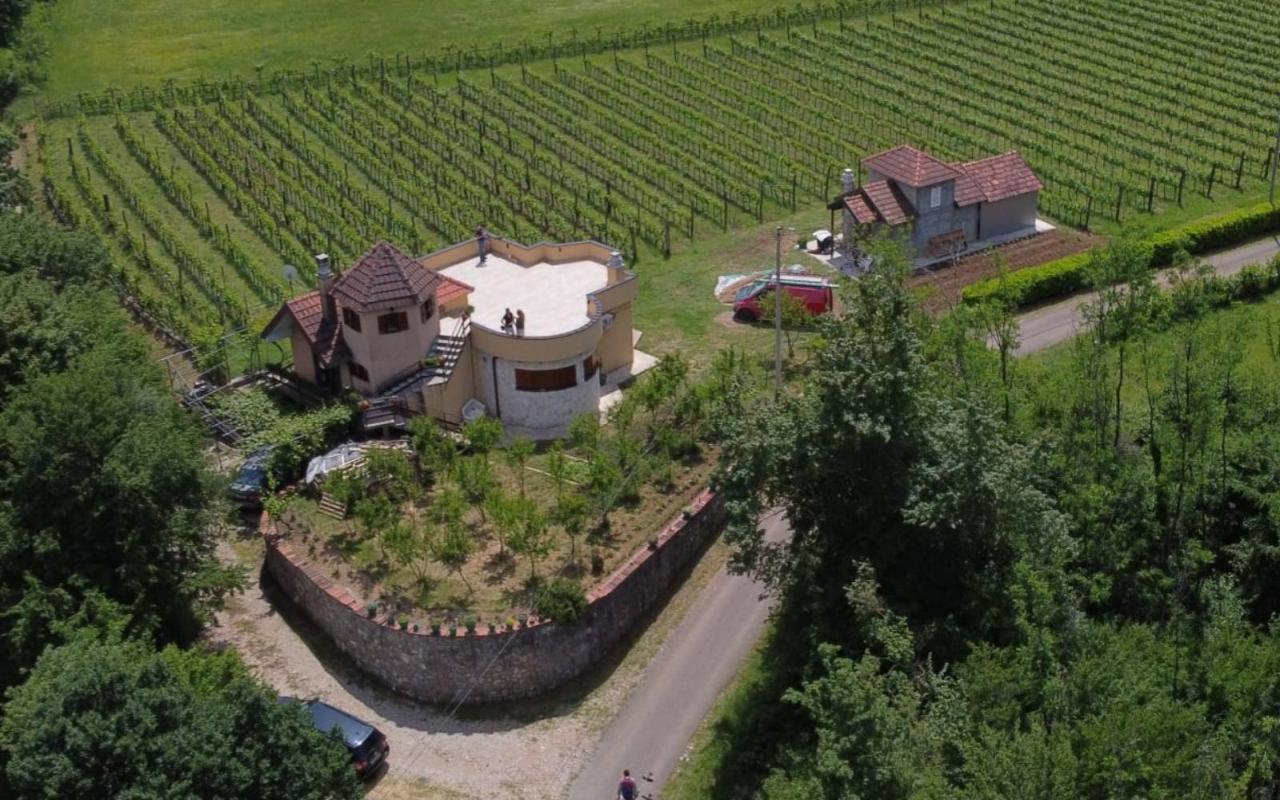 A vineyard with a winery in the valley of the Zeta River is for sale