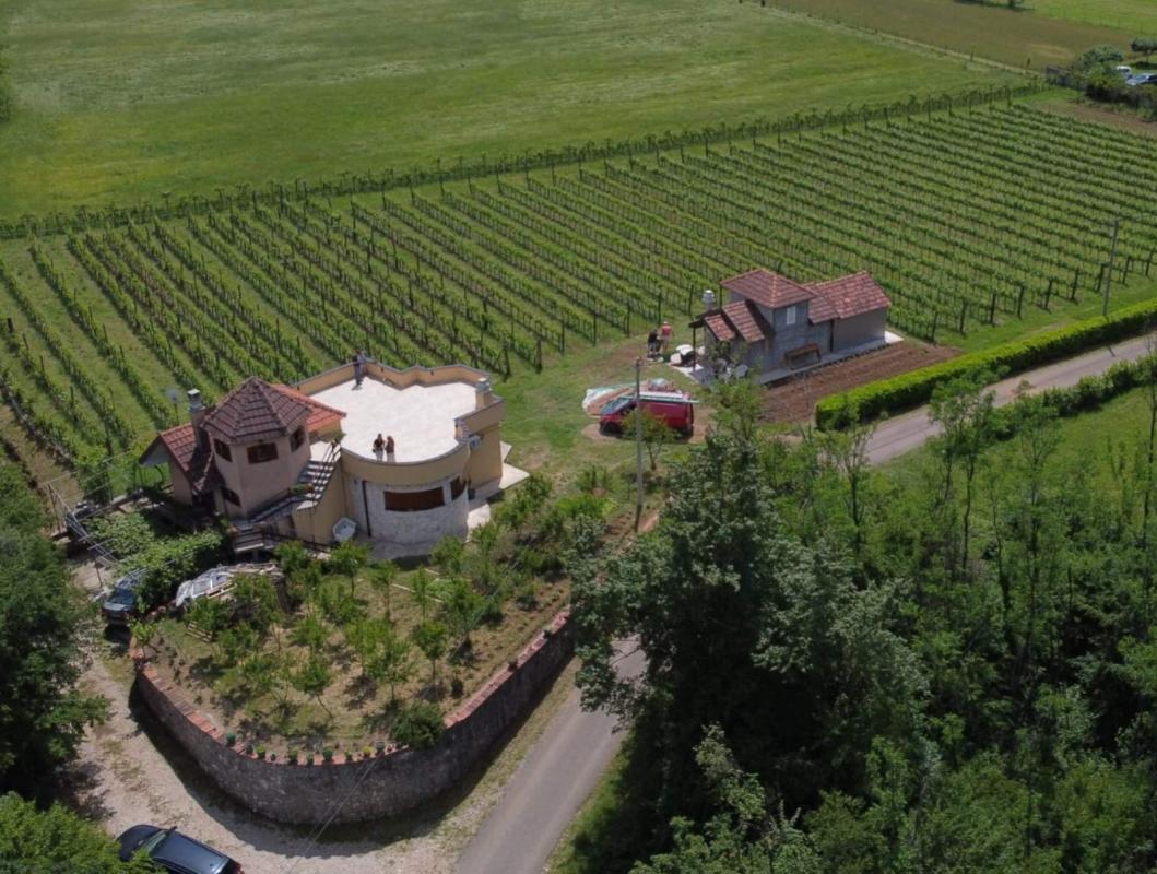 A vineyard with a winery in the valley of the Zeta River is for sale