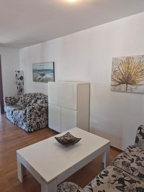 Moderne Zweizimmerwohnung mit Garage im Zentrum von Petrovac