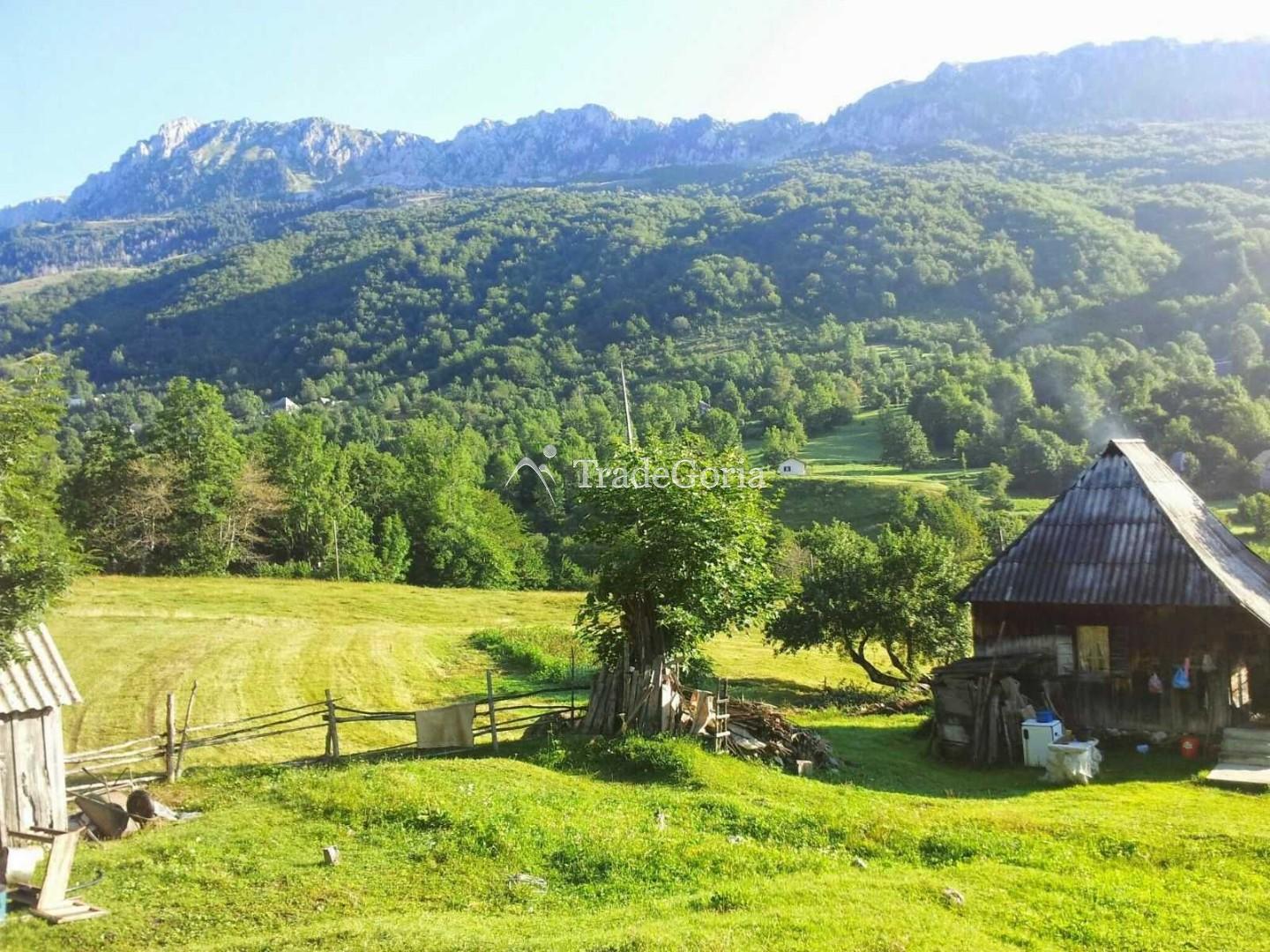 Large estate near Kolasin