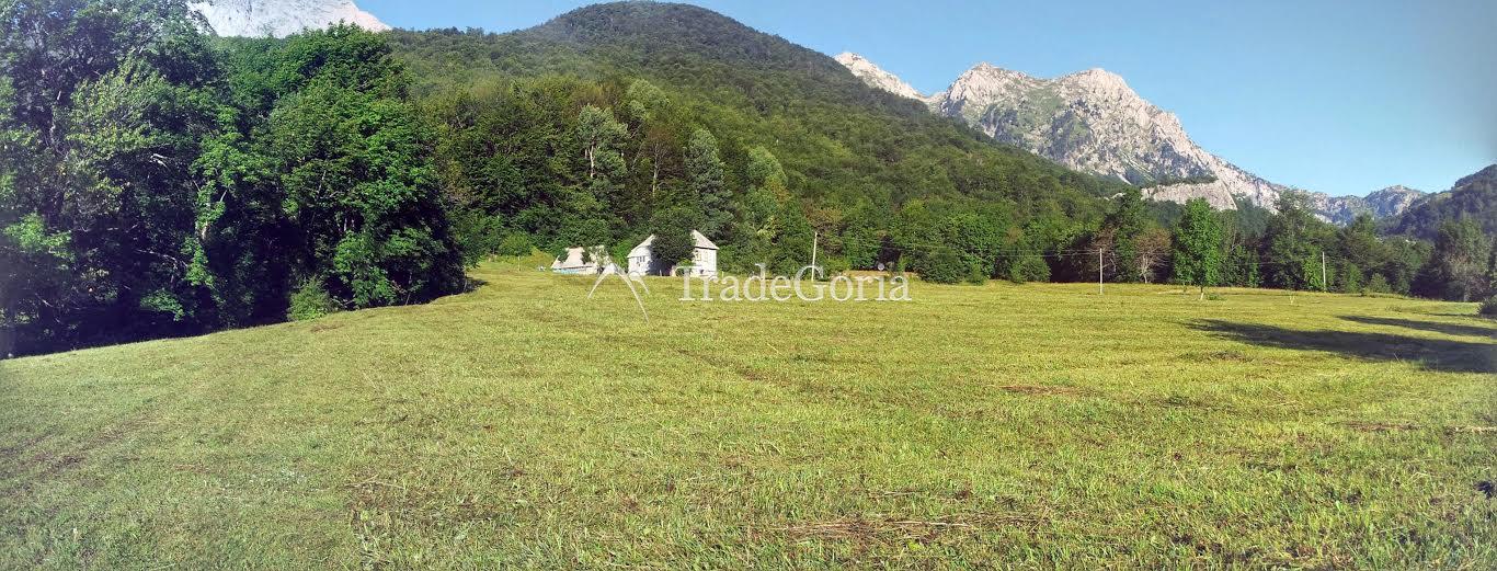 Large estate near Kolasin