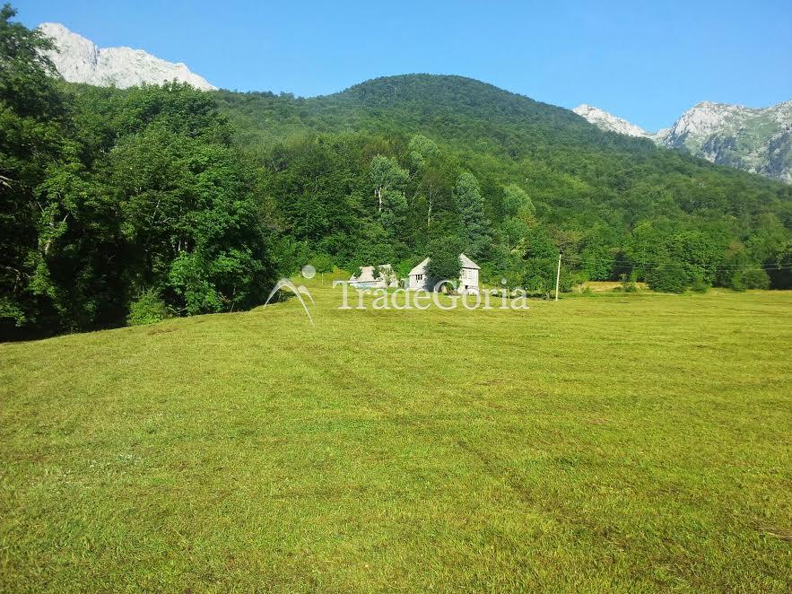 Large estate near Kolasin