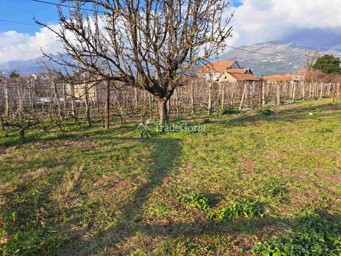 Large flat land plot in Field, Barska Riviera