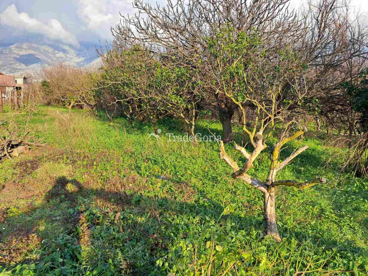 Large flat land plot in Field, Barska Riviera